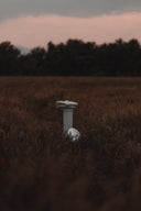 The Leo 1 - "White Birch"